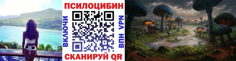 Псилоцибиновые грибы Psilocybine cubensis  Биробиджан 